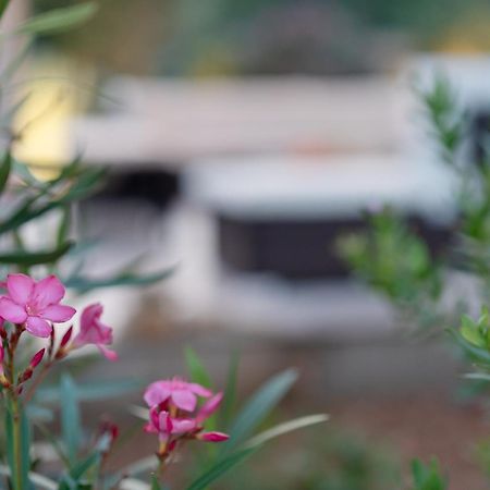 Villa Slatina Near Zrce Beach Novalja Dış mekan fotoğraf
